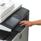 Business 7 image CEDAR CARE, STATION SIDINGS Woodworm & Dry Rot Control in Harrow Mi