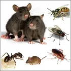 Business 3 image CHELSEA BUILDING SOCIETY Building Societies in Birmingham We