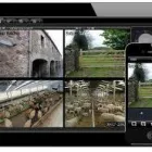 Business 5 image CHEQUE CENTRE Credit & Finance Companies in Eastleigh Ha