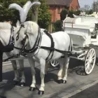Business 2 image CHERISH FUNERAL DIRECTORS LTD Transportation Services in Walsall We