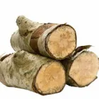 Business 4 image CHILDREN'S HOSPICE ASSOCIATION SCOTLAND Charitable & Voluntary Organisations in Aberdeen Ab