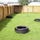 Business 1 image CHILLED DAWGZ DOG DAY CARE & PET SERVICES Pets & Animals in Glasgow Glg