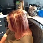 Business 9 image CHRIS'S MOBILE HAIRDRESSING Mobile Hairdressers in Barnsley So