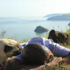 Business 1 image CITY PET WALKS Pets & Animals in Birmingham We