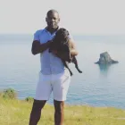 Business 7 image CITY PET WALKS Pets & Animals in Birmingham We