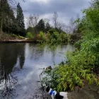 Business 8 image CITY PET WALKS Pets & Animals in Birmingham We