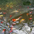 Business 12 image CLARE HOUSE CARE HOME - BUPA Residential, Retirement & Care Homes in UXBRIDGE Gr