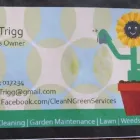 Business 1 image CLEAN N' GREEN Tree Services in Norwich No