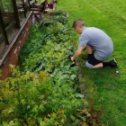 Business 4 image CLEAN N' GREEN Tree Services in Norwich No