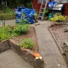 Business 5 image CLEAN N' GREEN Tree Services in Norwich No