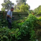 Business 6 image CLEAN N' GREEN Tree Services in Norwich No