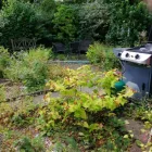 Business 7 image CLEAN N' GREEN Tree Services in Norwich No