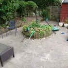 Business 8 image CLEAN N' GREEN Tree Services in Norwich No