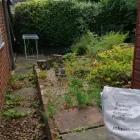 Business 9 image CLEAN N' GREEN Tree Services in Norwich No