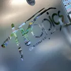 Business 2 image CLEAR FINISH PROPERTY MAINTENANCE SERVICES LTD Window Cleaners in Slough Be