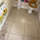 Business 14 image CLEAR FINISH PROPERTY MAINTENANCE SERVICES LTD Window Cleaners in Slough Be