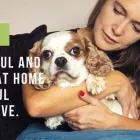 Business 2 image CLOUD 9 VETS Veterinary Services in Wigan La