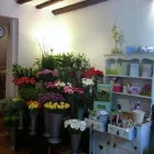 Business 1 image COLOURS FLORIST Florists in Much Wenlock Sh