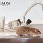 Business 2 image COMBAT PEST SOLUTIONS LTD Pest & Animal Control in Reading Be