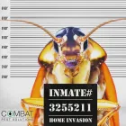 Business 4 image COMBAT PEST SOLUTIONS LTD Pest & Animal Control in Reading Be