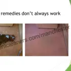 Business 9 image COMPETENT CLEANERS MANCHESTER Upholstery Cleaners in Manchester Gr