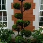 Business 3 image COMPLETE GARDENS Landscapers in MITCHAM Gr