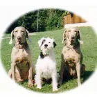 Business 6 image COMPLETE KITCHENS & BEDROOMS Kitchen Planning & Installation in Bolton La