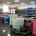 Business 1 image COMPLETE KOI & AQUATICS Shopping & Retail in Bolton Gr