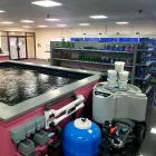 Business 2 image COMPLETE KOI & AQUATICS Shopping & Retail in Bolton Gr