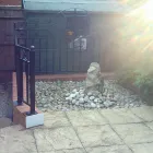 Business 8 image CONNECTWEB LTD Computer Services in Manchester La