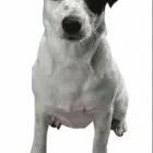 Business 4 image CONTACT INDUSTRIAL RECRUITMENT LTD Recruitment Consultants in Manchester La