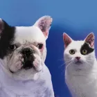 Business 1 image CONTACT INDUSTRIAL RECRUITMENT LTD Recruitment Consultants in Manchester La