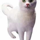 Business 3 image CONTACT INDUSTRIAL RECRUITMENT LTD Recruitment Consultants in Manchester La