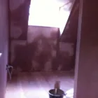 Business 8 image CORRY'S Butchers in Stockport Ch