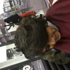 Business 19 image CROPZ HAIR SALON Hairdressers in Harrow Gr