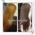 Business 1 image CROSS COMMUNITY DIALECT LTD Educational Services in Mitcham Su