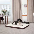 Business 2 image CROWNE PLAZA EDINBURGH - ROYAL TERRACE, AN IHG HOTEL Wedding Venues in Edinburgh Edh