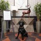 Business 73 image CROWNE PLAZA EDINBURGH - ROYAL TERRACE, AN IHG HOTEL Wedding Venues in Edinburgh Edh