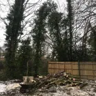 Business 8 image CUTTINGEDGE PROPERTY MAINTENANCE Tree Services in FAREHAM Ha