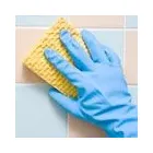 Business 4 image D & A LAWRENCE LTD Window Cleaners in Edinburgh Edh