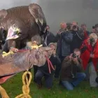 Business 15 image D.B. TAXIS Taxis & Private Hire Vehicles in Wigan La