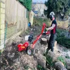 Business 4 image D&B TREE SERVICES Tree Services in Bristol Br