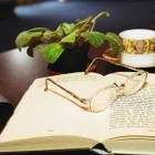 Business 9 image D.I.Y RAINBOWS Diy Stores in Marlborough Wi