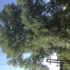 Business 7 image D.R LABELLING SYSTEMS LTD Label Printers in Glasgow La