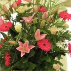 Business 5 image DAISY CHAIN FLORISTS Florists in Dover Ke