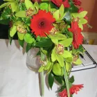 Business 2 image DAISY CHAIN FLORISTS Florists in Dover Ke