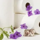 Business 9 image DANCE 4 Theatrical Companies in Nottingham No