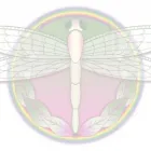 Business 1 image DANCING DRAGONFLY Training Services in Derby De