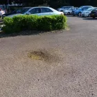 Business 4 image DAPPER GROUND MAINTENANCE LTD Landscapers in Glasgow Glg