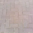 Business 9 image DAPPER GROUND MAINTENANCE LTD Landscapers in Glasgow Glg